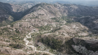 Has Haiti Lost Nearly All of Its Forest? It's Complicated<em></em>